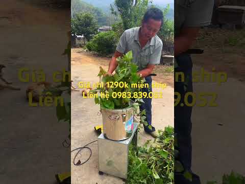 Máy xay thức ăn cho gia súc #maytronthucanchannuoi #channuoi #maynghiencam #farming