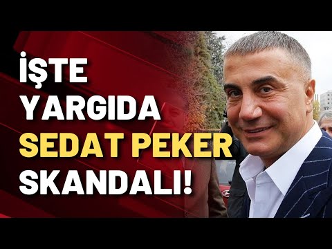 SOYLU'DAN YARGIYA SEDAT PEKER TALİMATI! Seyhan Avşar tüm detayları canlı yayında anlattı