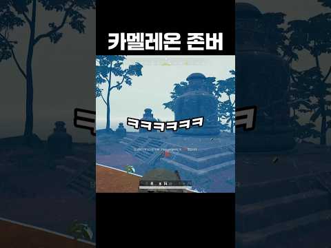 카멜레온 존버 ㅋㅋ