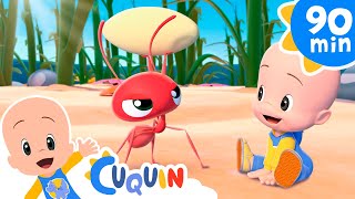 Los insectos chiquititos 🐜 y más canciones infantiles para bebés con Cleo y Cuquín