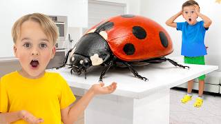 Mike y Sasha atrapan insectos en casa: ¡Los niños aprenden sobre insectos!