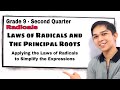 Radicals and Roots Simplification