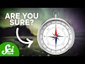 Navigating True North and Skylight Polarization