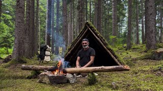Moss Covered Shelter 🌿 An Unexpected Sound in the Peaceful Forest Camp!