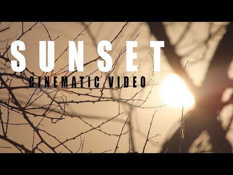 Sunset Cinematic Video 4K | 2022