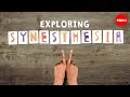 Understanding Synesthesia