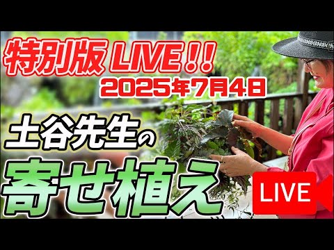 《ケイスケ登場！》2025年7月4日 土谷ますみ先生の寄せ植えを八王子本店からお届けします！