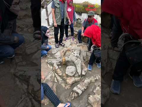 Benarkah Malin Kundang dikutuk jadi batu?