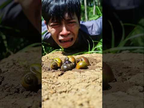 All snail lovers around the world must be crying when they see this #snailsong
