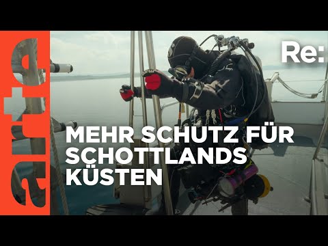 Taucheinsatz vor Schottlands Küste | ARTE Re: