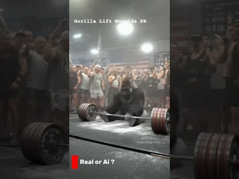 Gorillah Dead Lifts 700 kg 😨| Real or Ai #sora2 #ai #gorilla #aishorts #sorashorts #deadlift