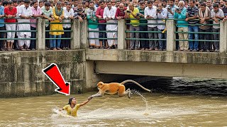 जब पंजाब में बाढ़ हादसे से बंदर बनकर हनुमान ने बचाई 30 लोगो की जान चमत्कार देख हैरान हो जाओगे