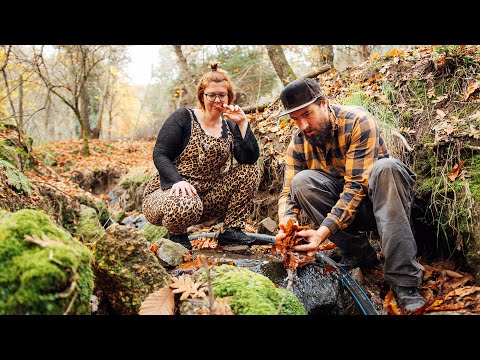 WE’RE LOSING SO MUCH WATER! Life on a Portuguese Homestead