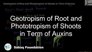 Geotropism of Root and Phototropism of Shoots in Term of Auxins