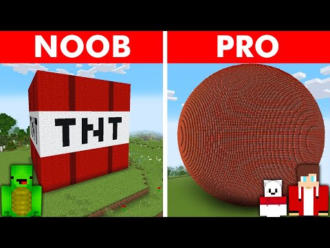 Using PROFESSIONAL Builder To Cheat In Building Challenge!