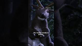 Stay out the forbidden forest | Robot Chicken | Adult Swim Europe