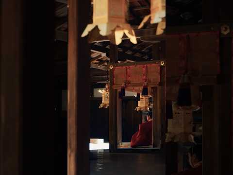 【京都 上賀茂神社】競馬会神事 5月5日