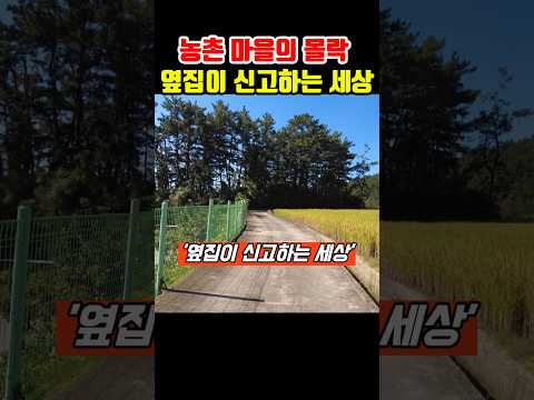 농촌 마을의 몰락  옆집이 신고하는 세상 #뉴스 #이슈 #<strong>정책</strong>  #착한부동산