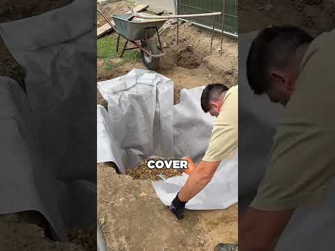 The Smartest $100 Home Fix