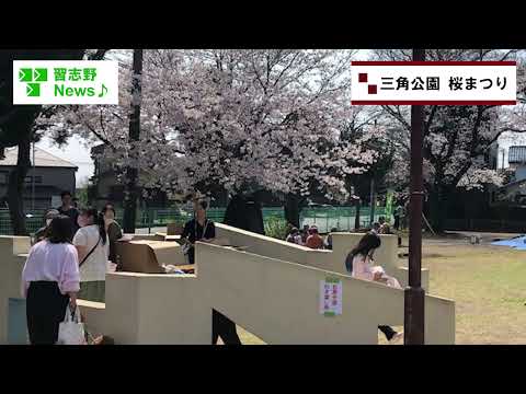 26.3/29(日)三角公園桜まつり(市長News)