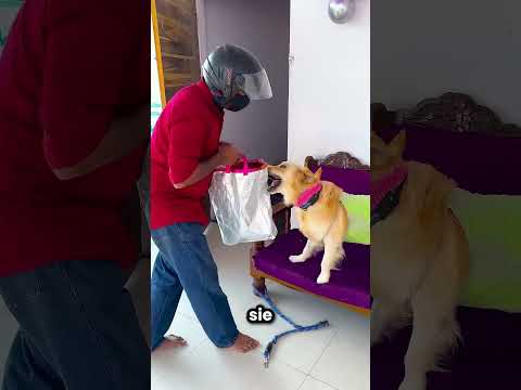 Ein Dieb will meine Spielzeuge mitnehmen 😱