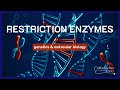Restriction Enzymes and Recombinant DNA