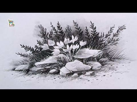 How to draw FLOWERS and Small ROCKS in Nature Art by PENCIL