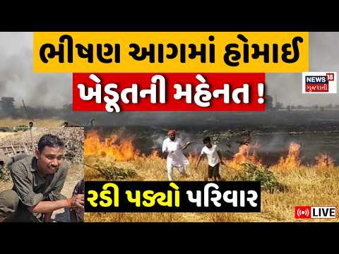 Rajkot Wheat Farm Fire LIVE | ખેતરમાં આગ લાગતાં ઘઉંનો પાક બળીને ખાખ | Jetpur | Fire Brigade