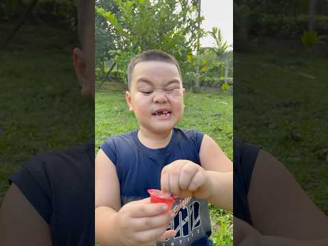 WOW! Ý tưởng THÔNG MINH và RẤT HỮU ÍCH 🍮 #camping #survival #bushcraft #outdoors #lifehack