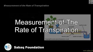 Measurement of The Rate of Transpiration