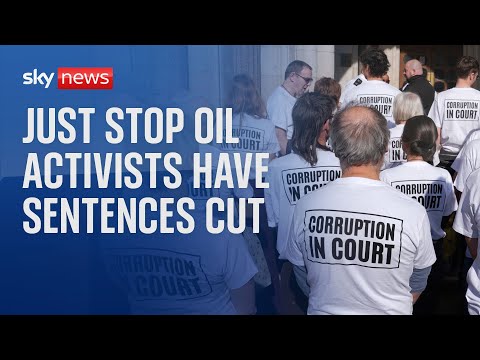 Just Stop Oil co-founder Roger Hallam has had his prison sentence reduced