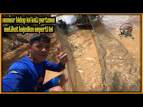 Tak Pernah Berlaku Sebelum Ini! Sungai ‘Hantarkan’ Ribuan Ikan Sekaligus!