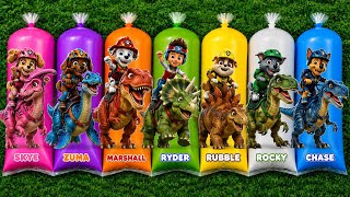 Ultimate Mix Paw Patrol Toys/Action Figures | Ryder, Skye & Chase 🌈 Satisfying Water Rescue Playtime
