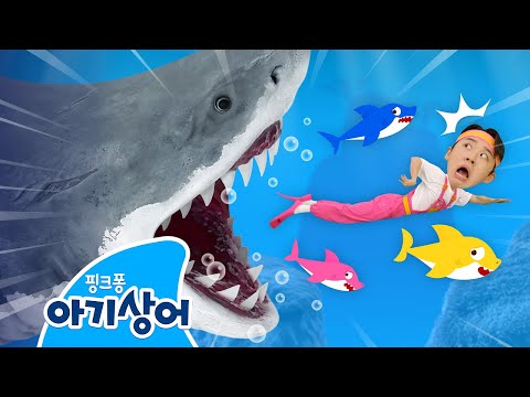 도망쳐! 대왕 상어가 나타났어요!🦈 | 아기상어와 뚜루루뚜루🎶 | 상어가족 인기 동요 | 핑크퐁! 아기상어 올리