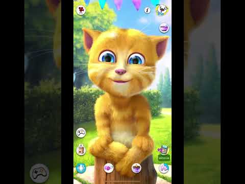 Talking tom ginger gameplay