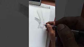 #howtodrawstepbystep #humananatomy #howtodrawfoot#youtubeshorts#