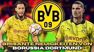 ANGESPANNTE ATMOSPHÄRE! JETZT BESTÄTIGT! SEHEN SIE HEUTE DIESE NACHRICHTEN VON BORUSSIA DURMONT!