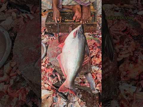 Big Pangas Fish Skin Remove ๐ฑ #shorts