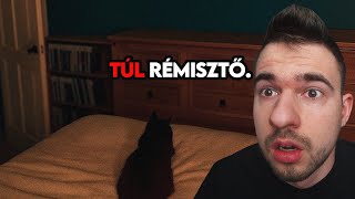 FÉLELMETES VIDEÓK, AMELYEKTŐL ROSSZ ÉRZETED LESZ!