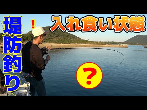 堤防の足元で魚の群れが入ってきてフィーバー状態に！！