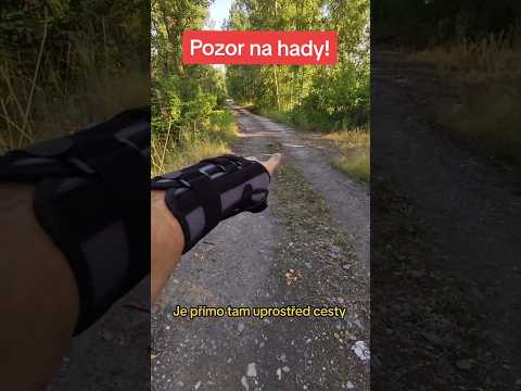 Pozor na hady!
