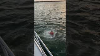 Flipping into the sunset