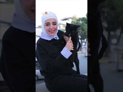 داء القطط يعطي مناعة للمرأة !