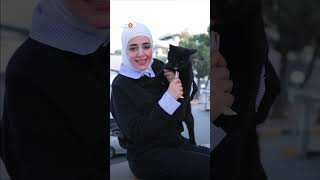 داء القطط يعطي مناعة للمرأة !