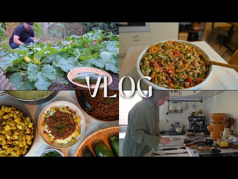 Hausarbeit, Garten und Sommerliche Rezepte 😋 | VLOG