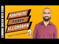Morphemes and Morphology Concepts