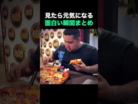 見たら元気になる面白い瞬間まとめ🤣🤣🤣