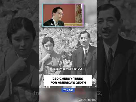 Click to play Video