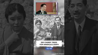 250 Cherry trees for America's 250th birthday | WORLD OF TRAVEL