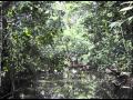 Amazon Deforestation and Conservation Insights